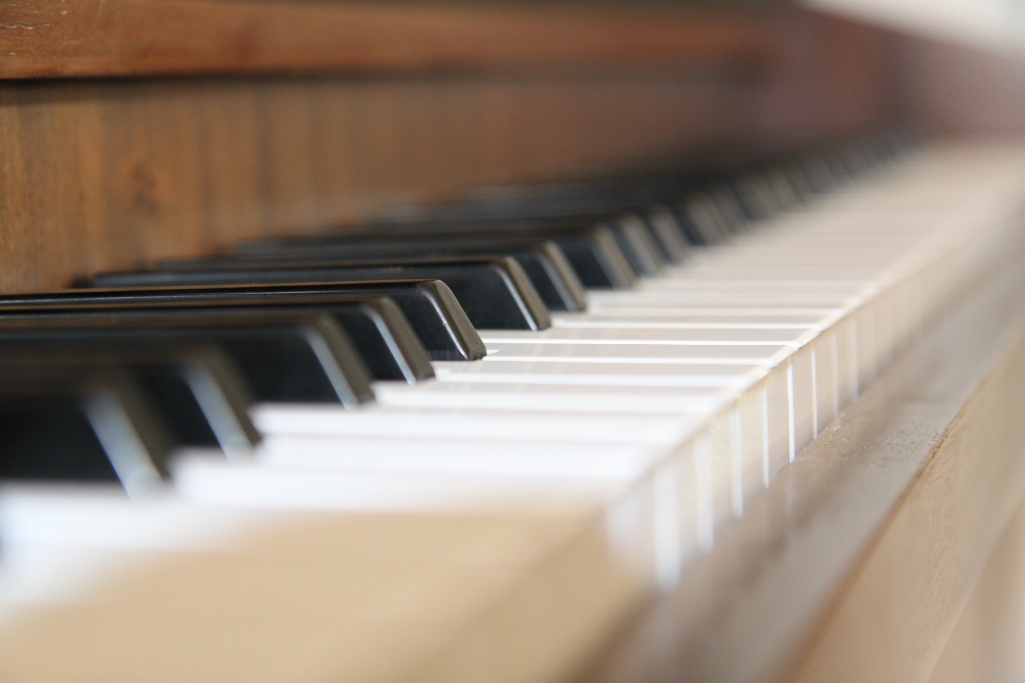 Il Pianoforte è Uno Strumento A Corde